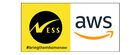 Ness yellow-AWS