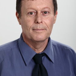 שמעון נסיכי