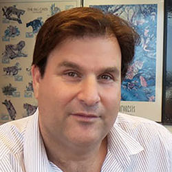 ישראל רוזלי