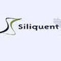 Siliquent