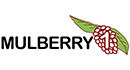 mulberry 1